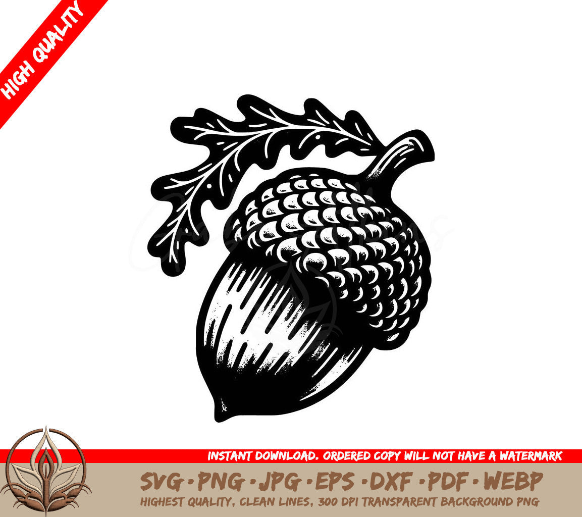 Textured Acorn Digital Design File (SVG, PNG, JPG, AI, PDF, DXF, EPS, WebP) 
