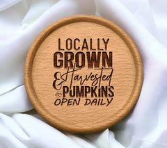 Locally Grown Pumpkin SVG SVG