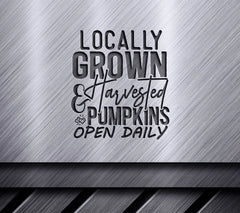 Locally Grown Pumpkin SVG SVG