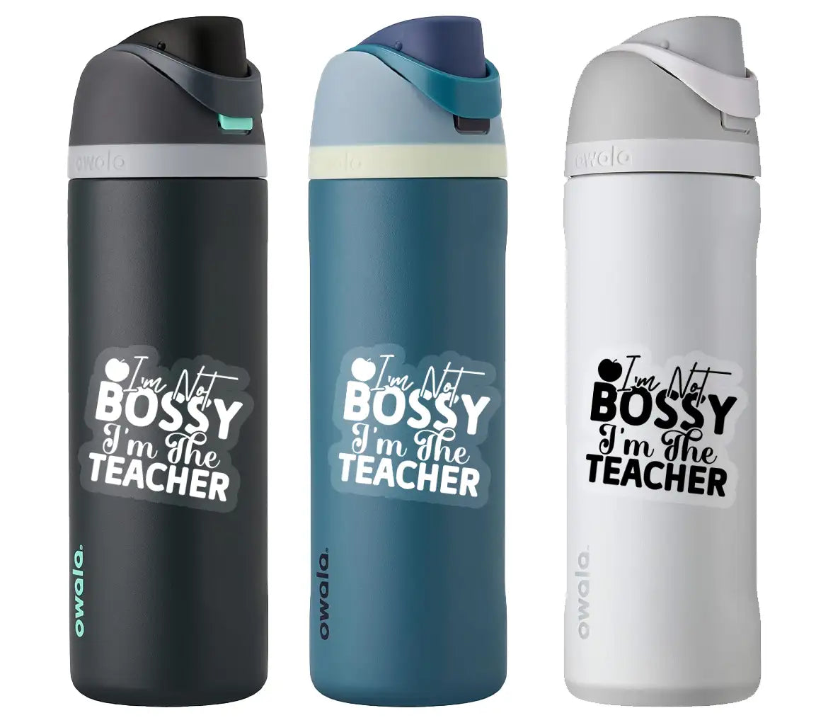 Teacher SVG Im Not Bossy SVG