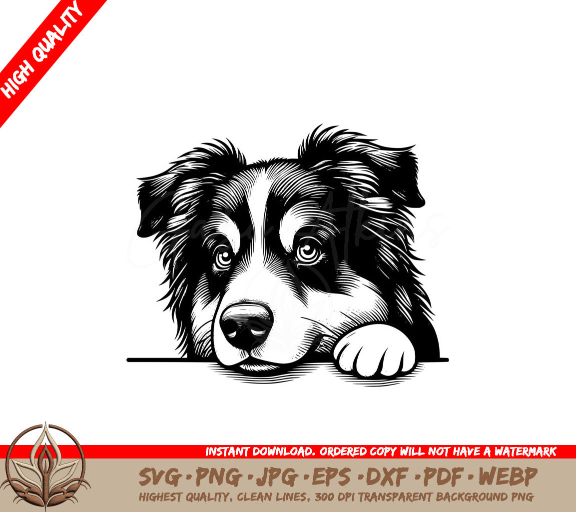 Thoughtful Australian Shepherd SVG 
