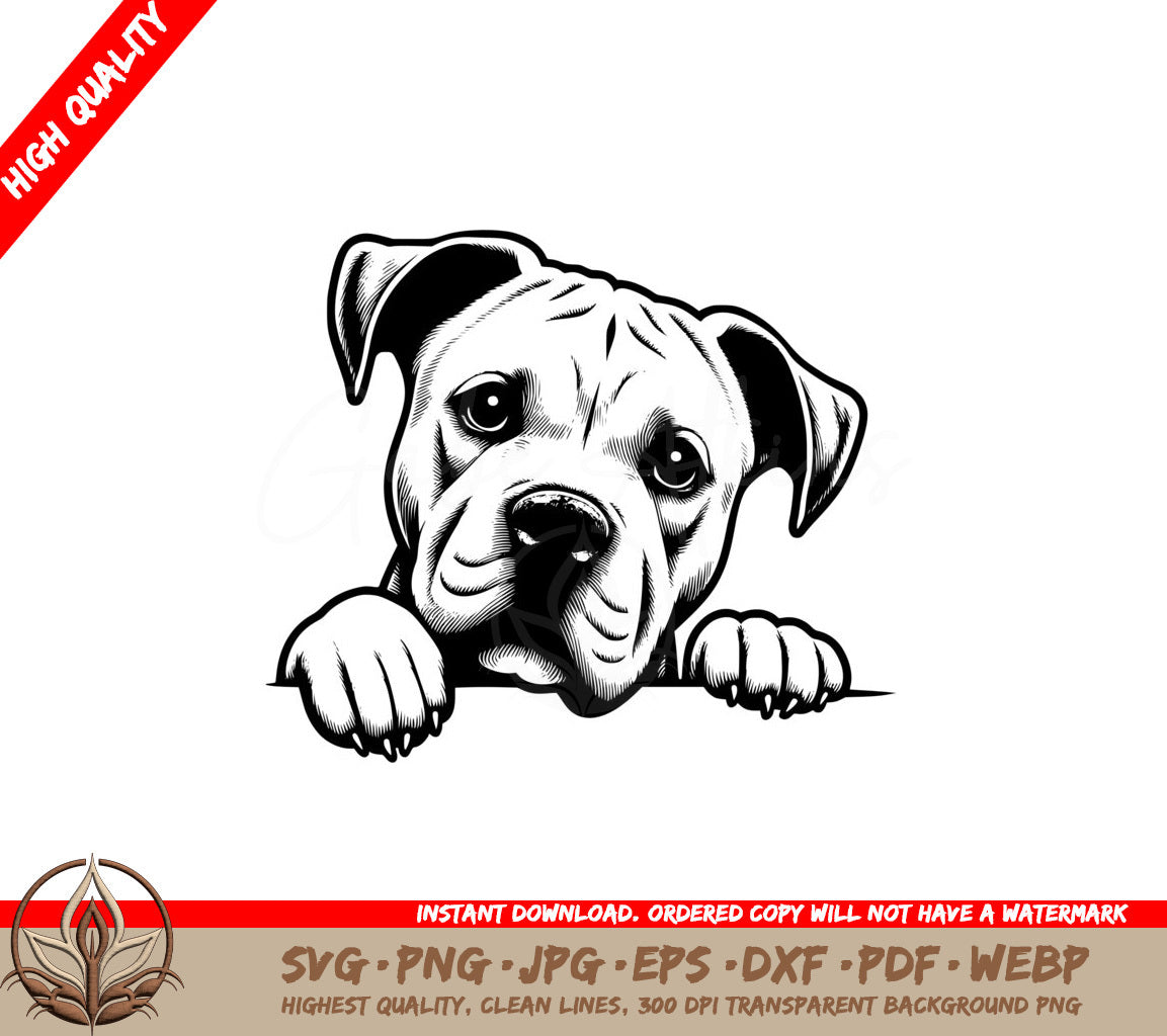 Thoughtful Dogo Argentino SVG 
