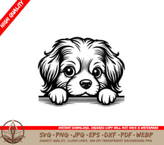 Tibetan Spaniel Peekaboo SVG