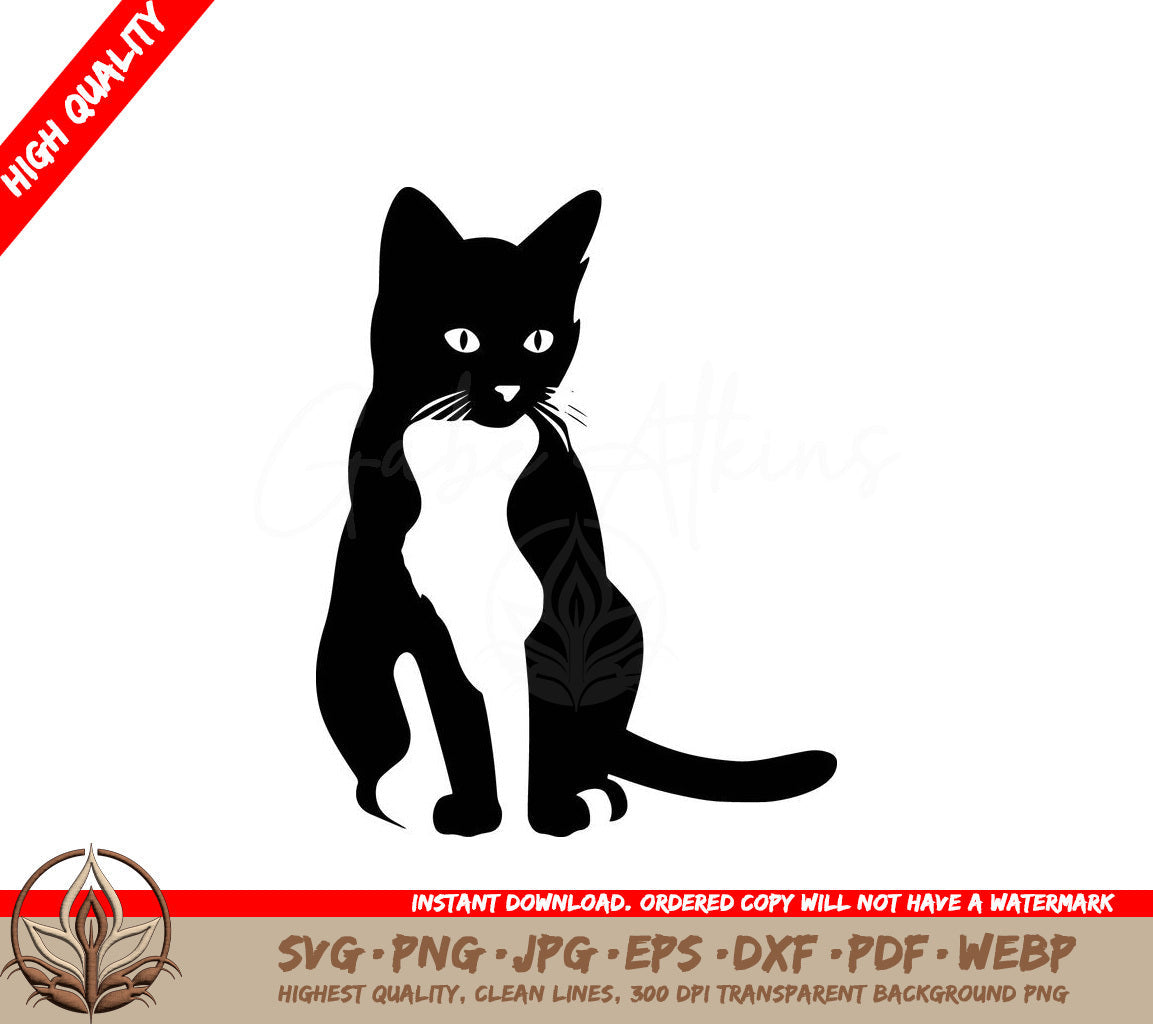 Tiny Tabby Digital Design File (SVG, PNG, JPG, AI, PDF, DXF, EPS, WebP) 
