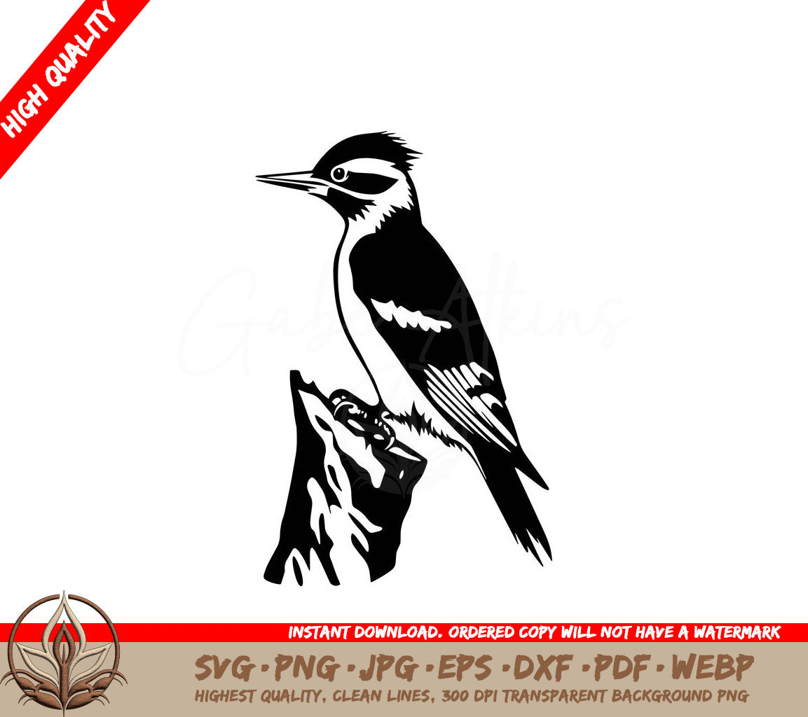 Tree Pecking Bird Digital Design in Multiple File Formats (SVG, PNG, JPG, AI, PDF, DXF, EPS, WebP) 
