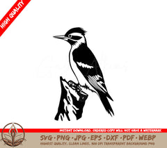 Tree Pecking Bird Digital Design in Multiple File Formats (SVG, PNG, JPG, AI, PDF, DXF, EPS, WebP) 
