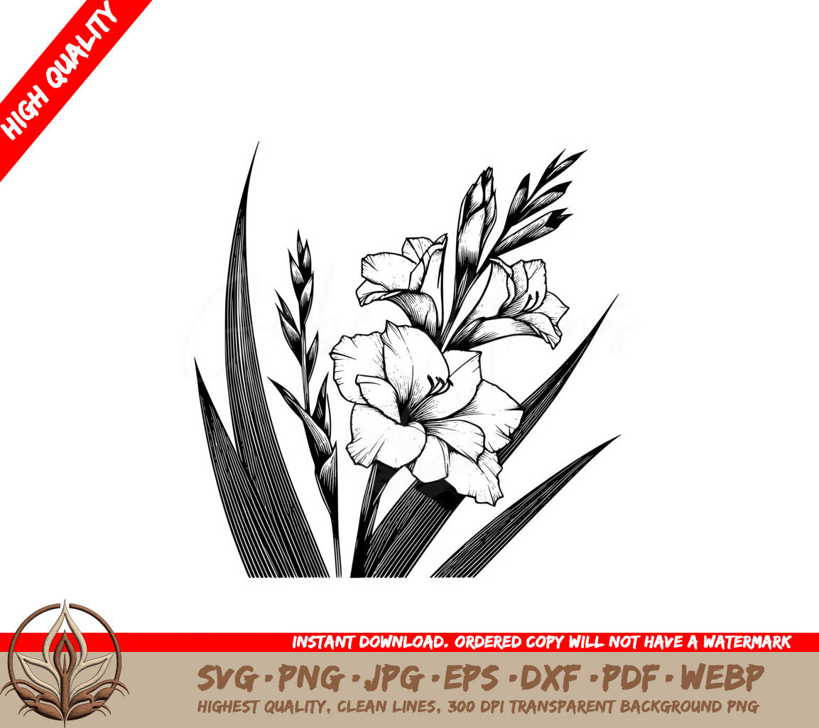 Vibrant Gladiolus SVG PNG JPG AI PDF DXF EPS and WebP Digital Download 
