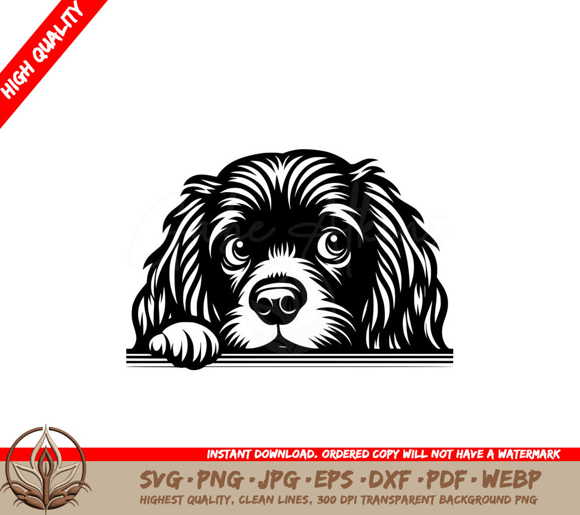 Watchful Boykin Spaniel SVG Cut File Design Silhouette Cricut Clipart Instant Download  
