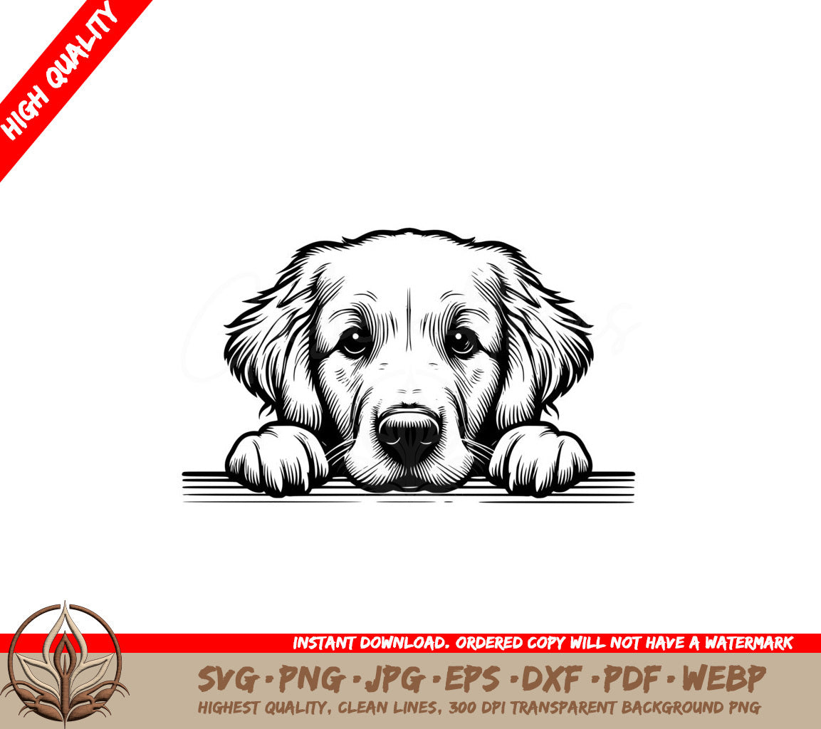 Watchful Golden Retriever SVG PNG JPG AI PDF DXF EPS and WebP Digital Download 
