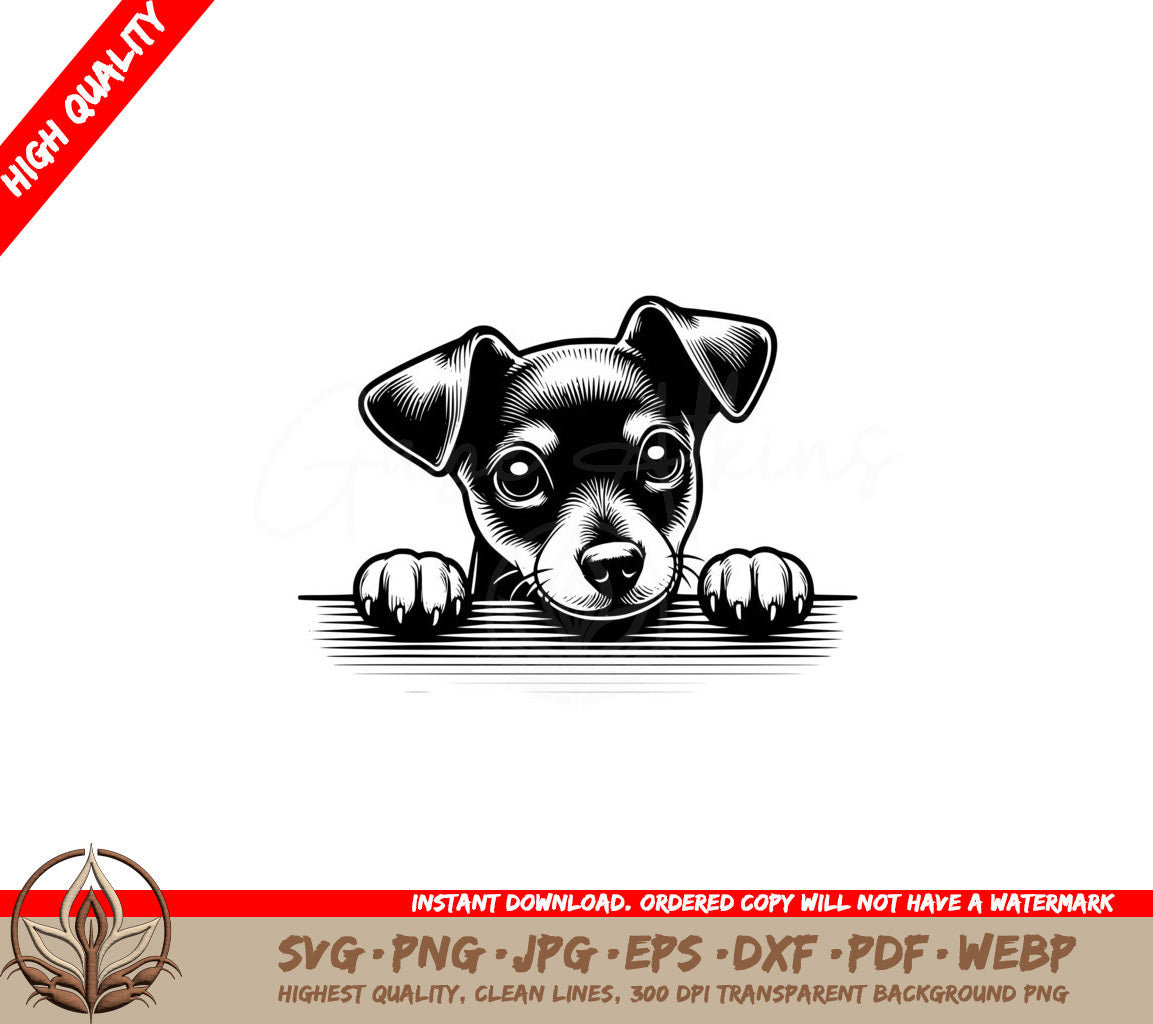 Watchful Miniature Pinscher SVG 
