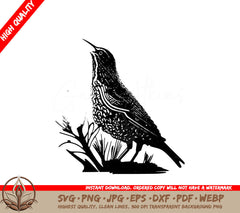 Western Meadowlark Singing Digital Design File (SVG, PNG, JPG, AI, PDF, DXF, EPS, WebP) 
