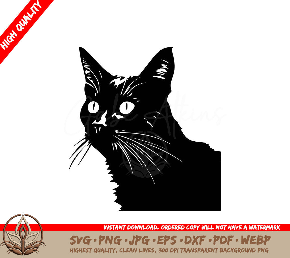 Whiskered Kitty Portrait - Digital Download in SVG, PNG, JPG, AI, PDF, DXF, EPS and WebP File Formats 
