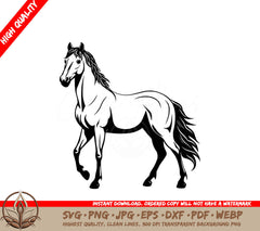 White Stallion Digital Design File in Multiple Formats (SVG, PNG, JPG, AI, PDF, DXF, EPS, WebP) 
