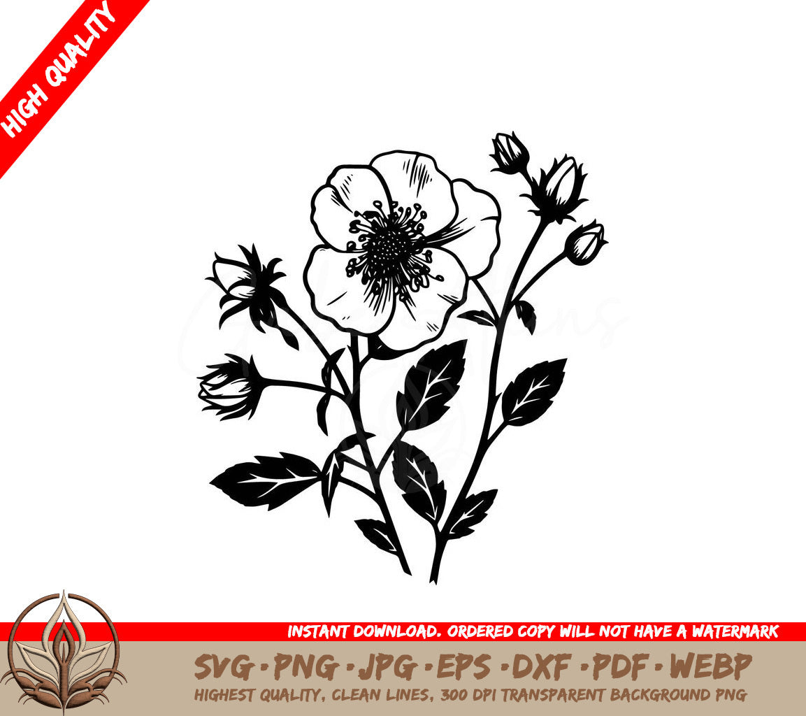 Wild Rose Digital Design File (SVG, PNG, JPG, AI, PDF, DXF, EPS, WebP) 
