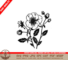 Wild Rose Digital Design File (SVG, PNG, JPG, AI, PDF, DXF, EPS, WebP) 
