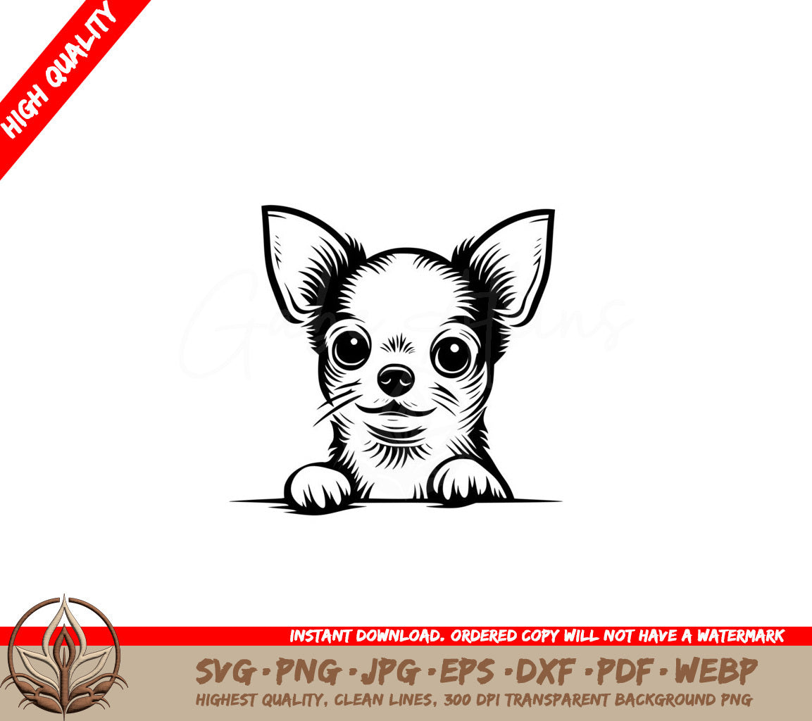 Wondering Chihuahua Eyes Digital Design SVG 
