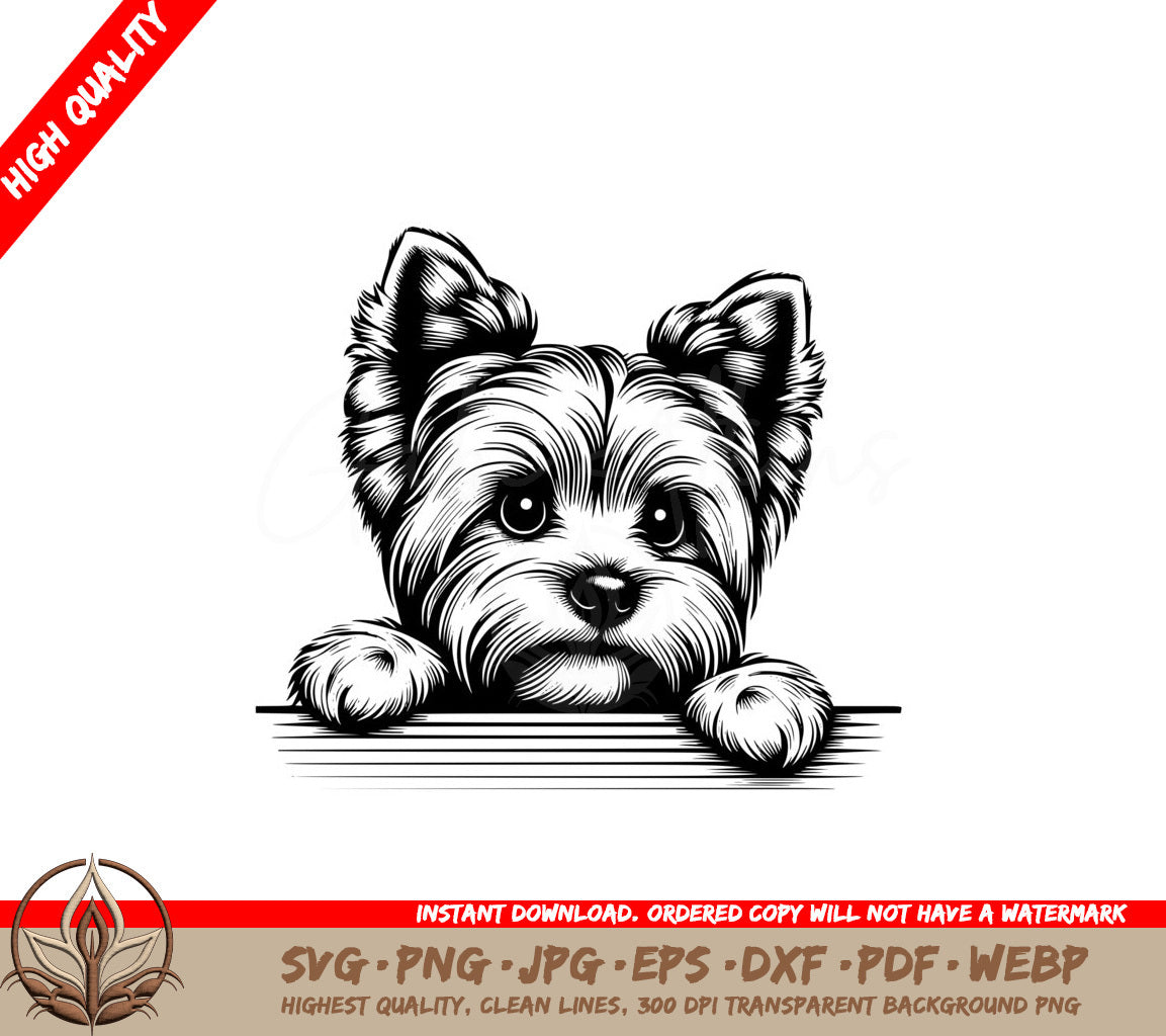 Yorkshire Terrier Buddy SVG Cut File Download 
