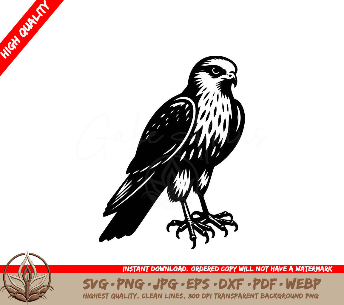 Harrier Eagle Vector Art Illustration SVG 