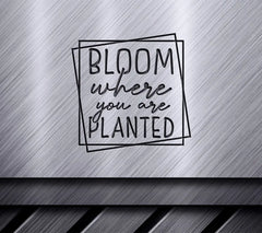 Bloom Where You Are Planted -  SVG Design Bundle SVG