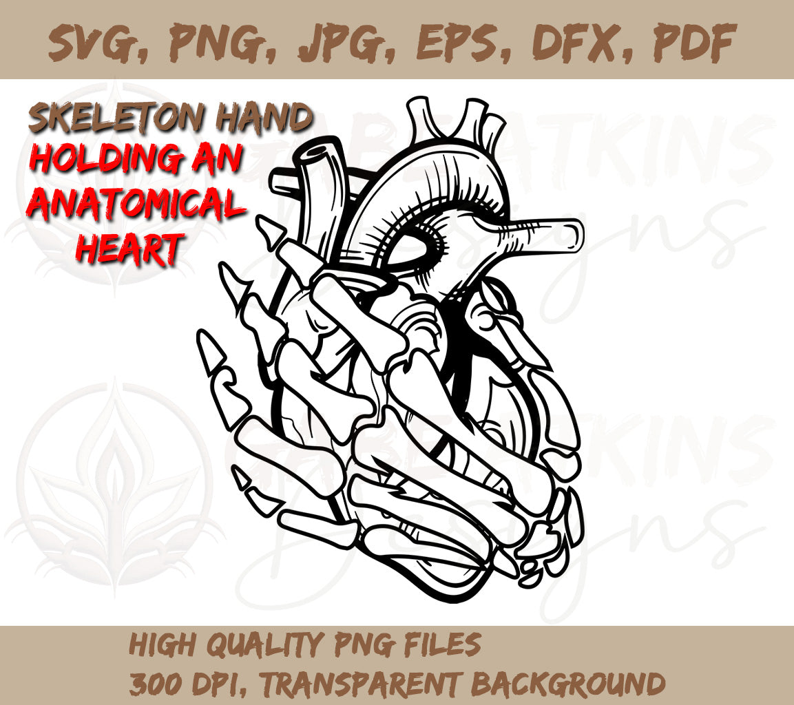 Skeleton Hand Holding A Heart SVG for Cricut | Skeleton Hand | Anatomical Heart SVG, PNG, DFX, EPS, JPG, PDF, WEBP Instant Download Digital File