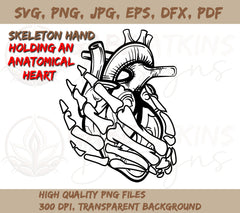 Skeleton Hand Holding A Heart SVG for Cricut | Skeleton Hand | Anatomical Heart SVG, PNG, DFX, EPS, JPG, PDF, WEBP Instant Download Digital File